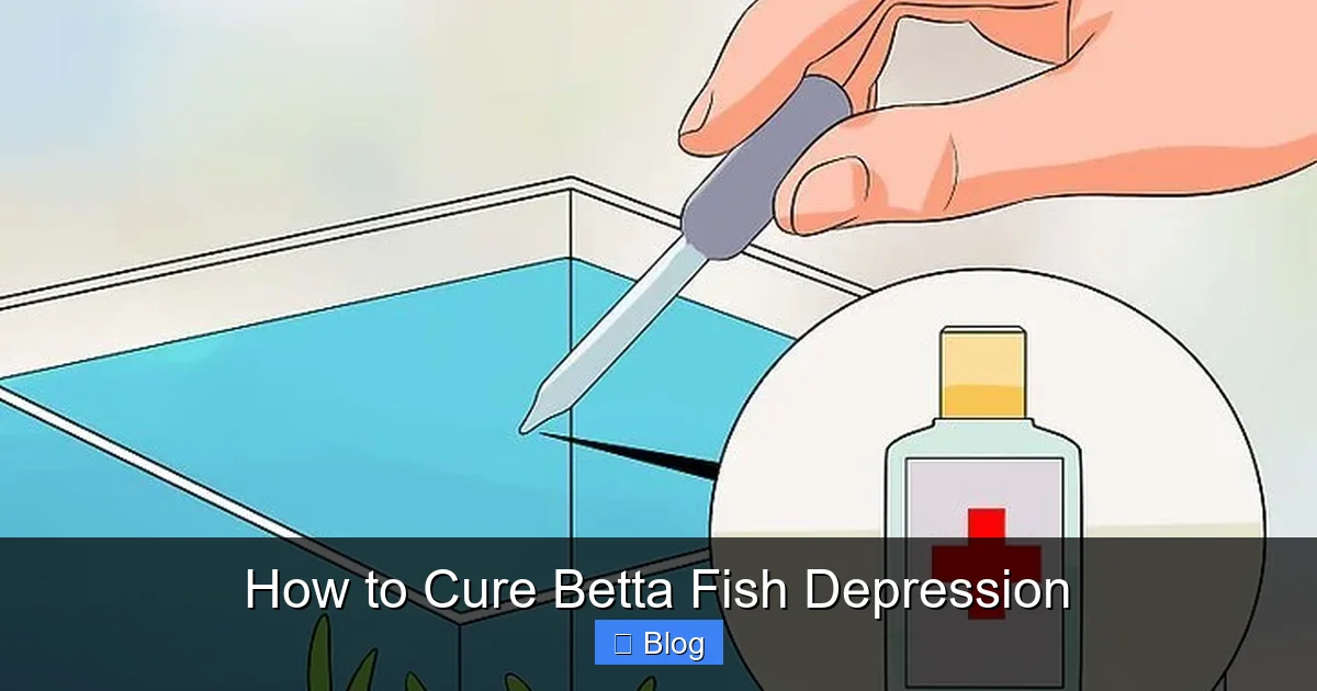 How to Cure Betta Fish Depression