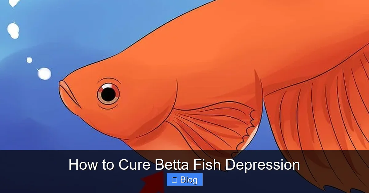 How to Cure Betta Fish Depression