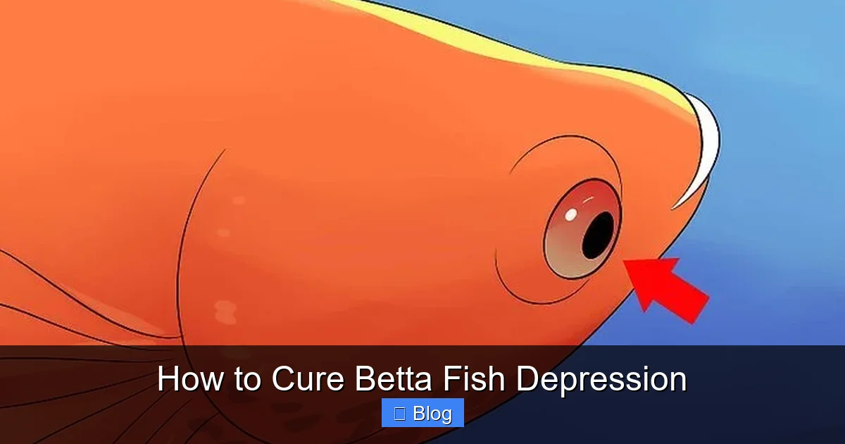 How to Cure Betta Fish Depression