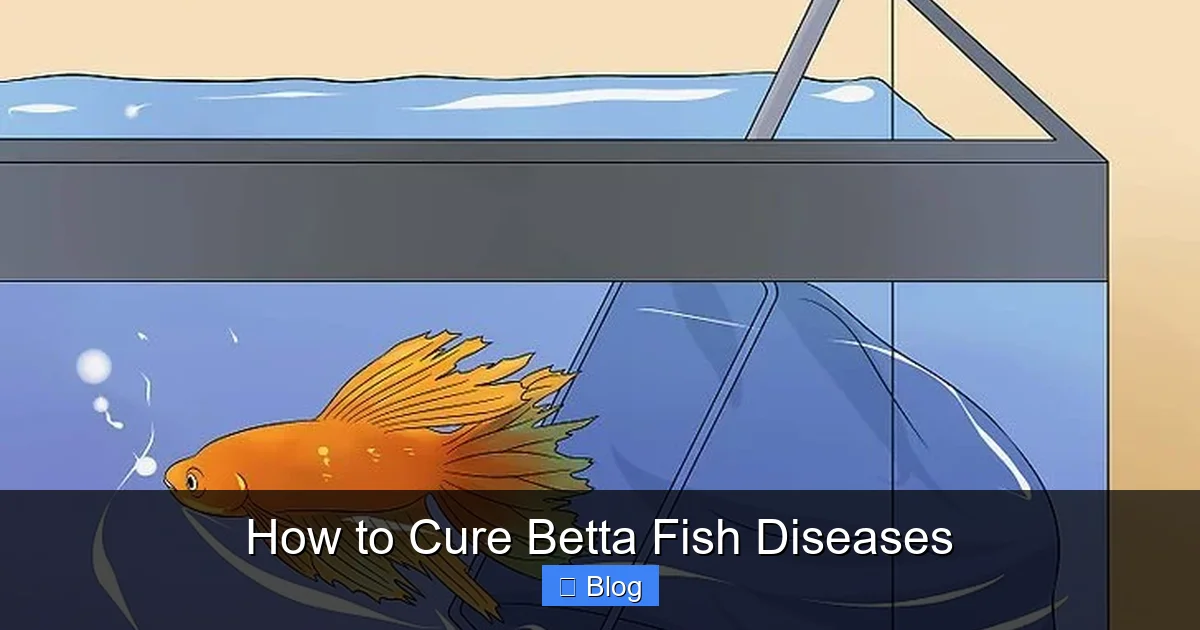 How to Cure Betta Fish Diseases