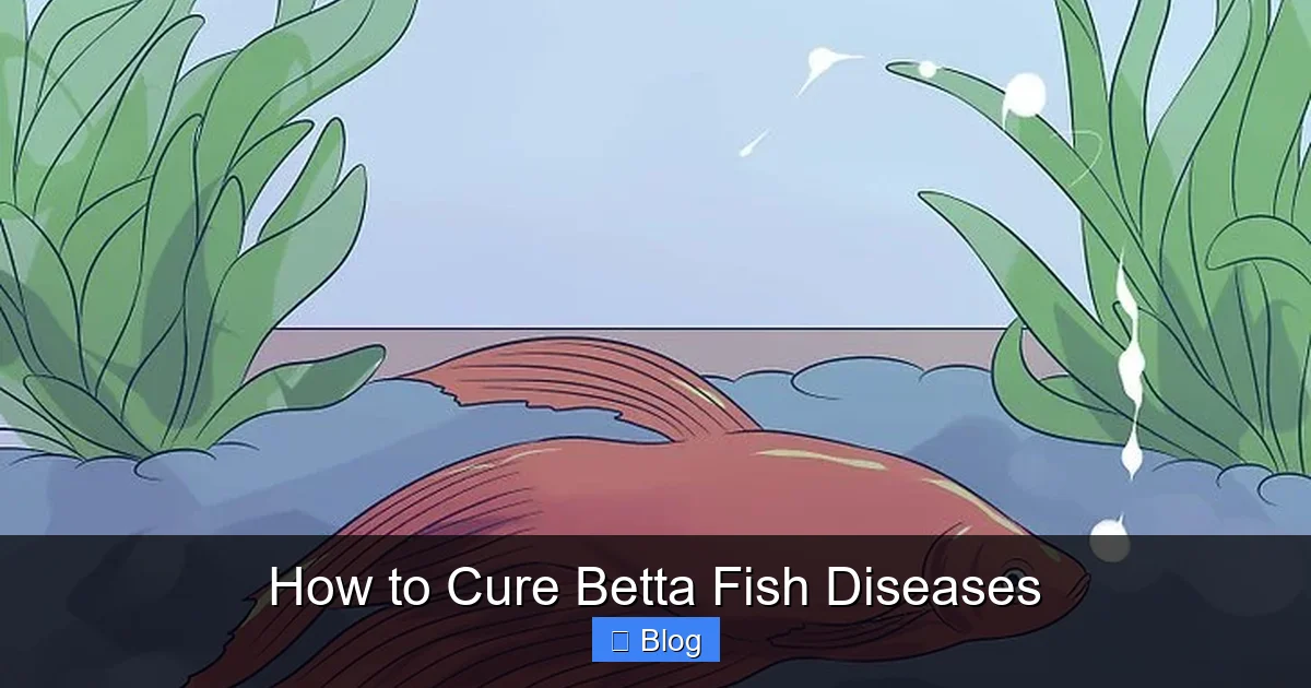 How to Cure Betta Fish Diseases