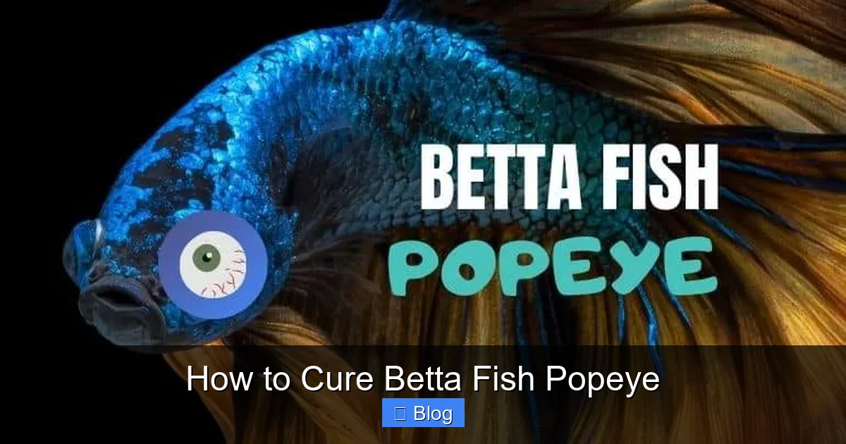 How to Cure Betta Fish Popeye