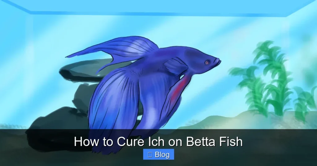 How to Cure Ich on Betta Fish