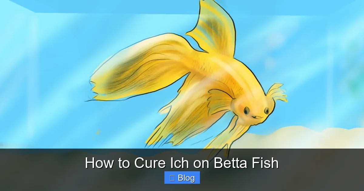 How to Cure Ich on Betta Fish