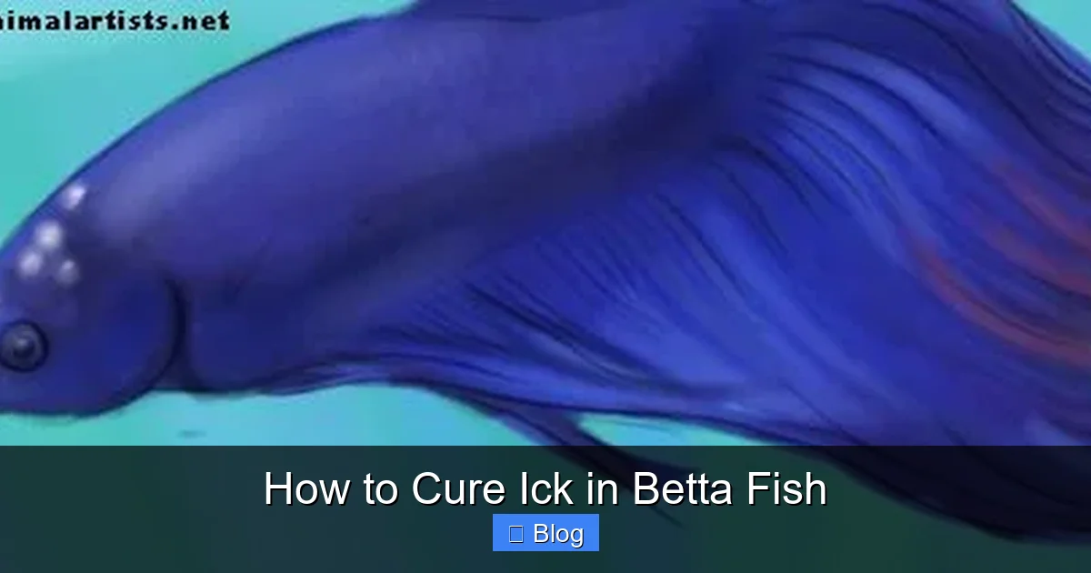 How to Cure Ick in Betta Fish