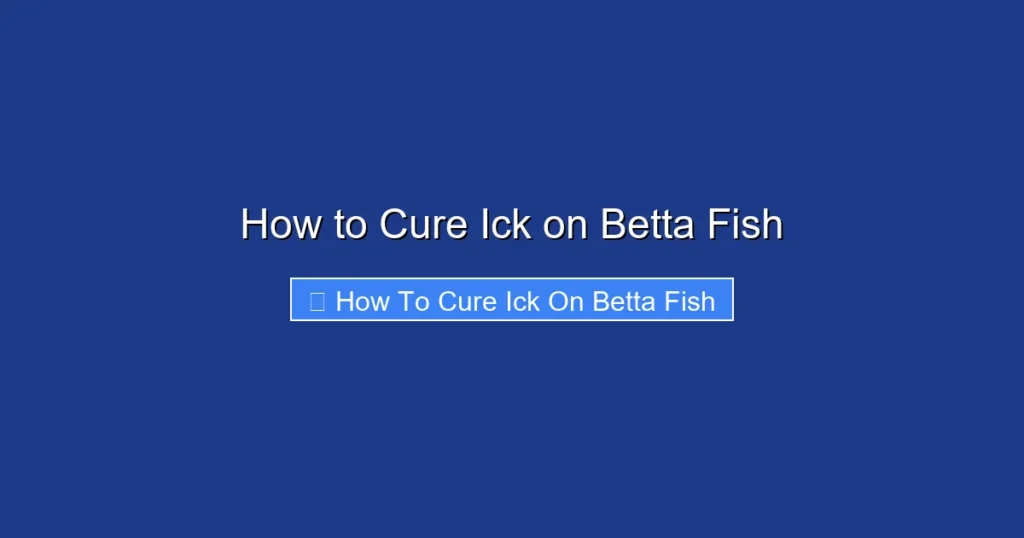 How to Cure Ick on Betta Fish