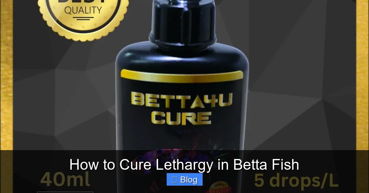How to Cure Lethargy in Betta Fish