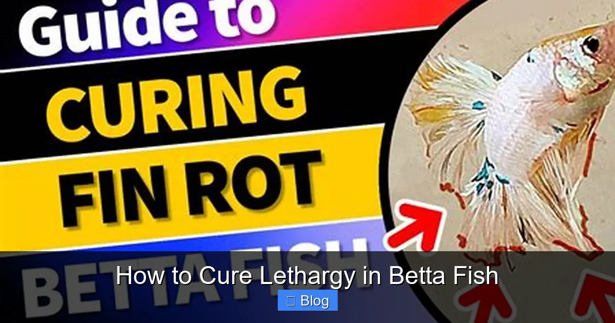 How to Cure Lethargy in Betta Fish