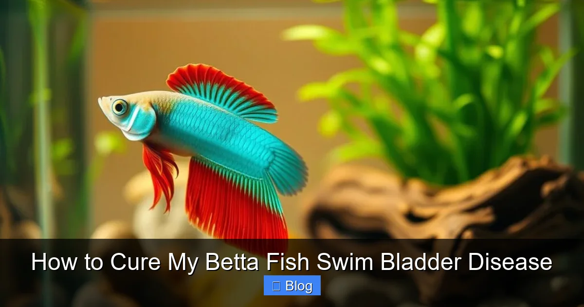 How to Cure My Betta Fish Swim Bladder Disease