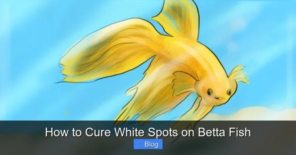 How to Cure White Spots on Betta Fish