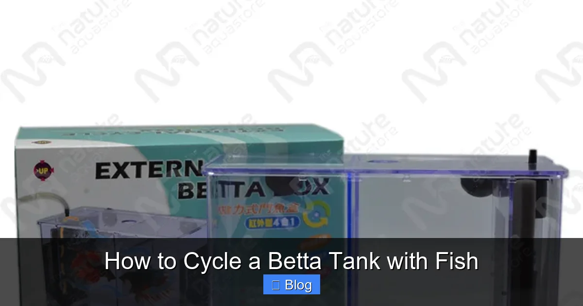 How to Cycle a Betta Tank with Fish