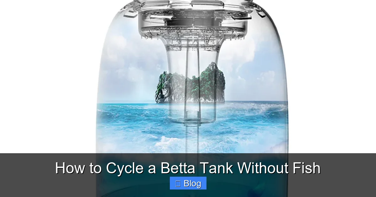 How to Cycle a Betta Tank Without Fish