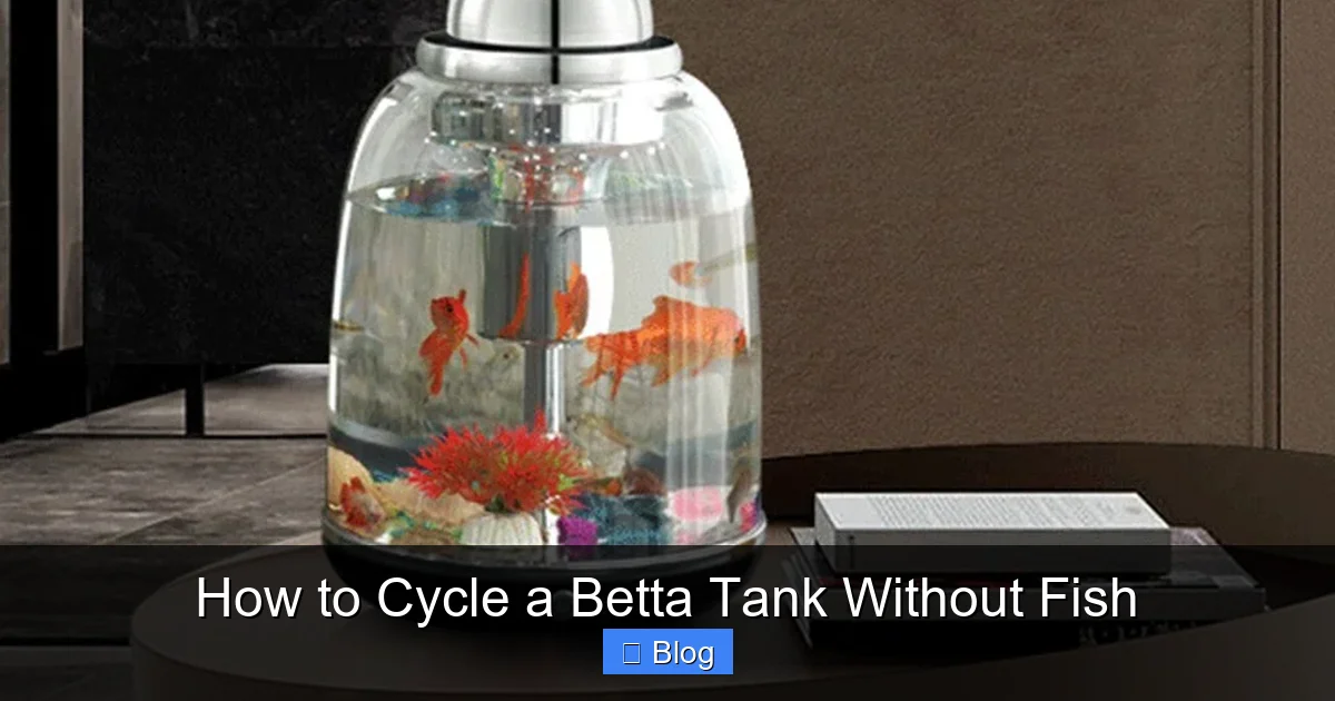 How to Cycle a Betta Tank Without Fish