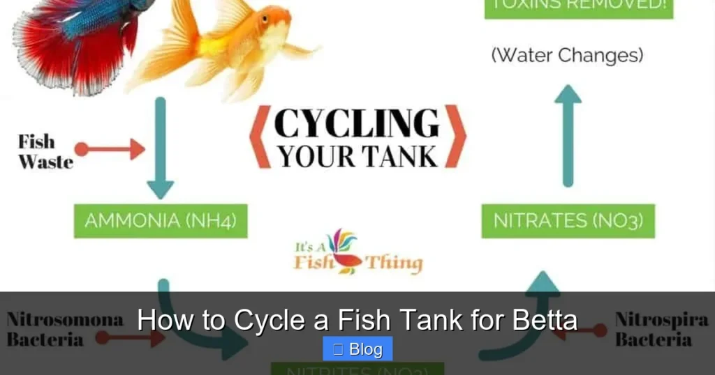 How to Cycle a Fish Tank for Betta
