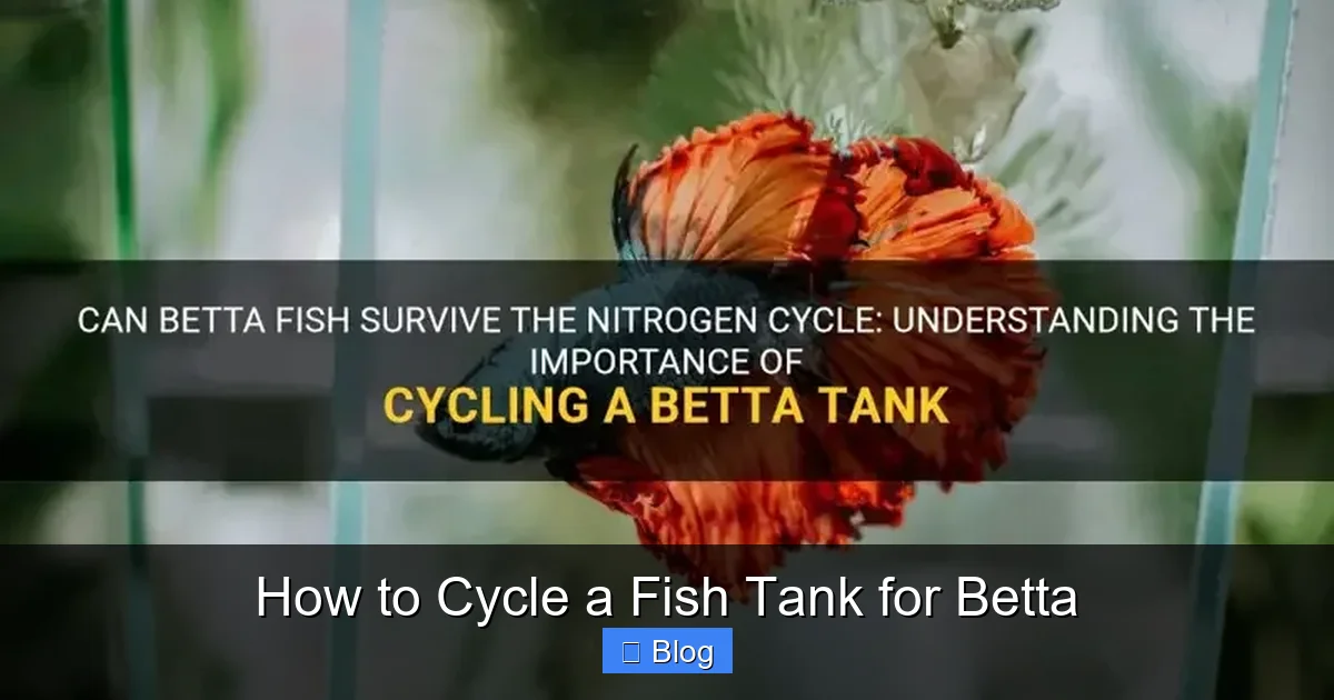 How to Cycle a Fish Tank for Betta