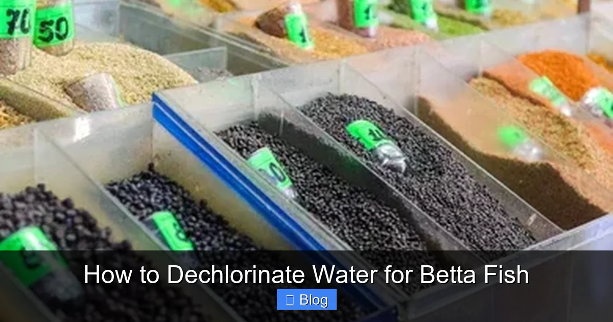 How to Dechlorinate Water for Betta Fish