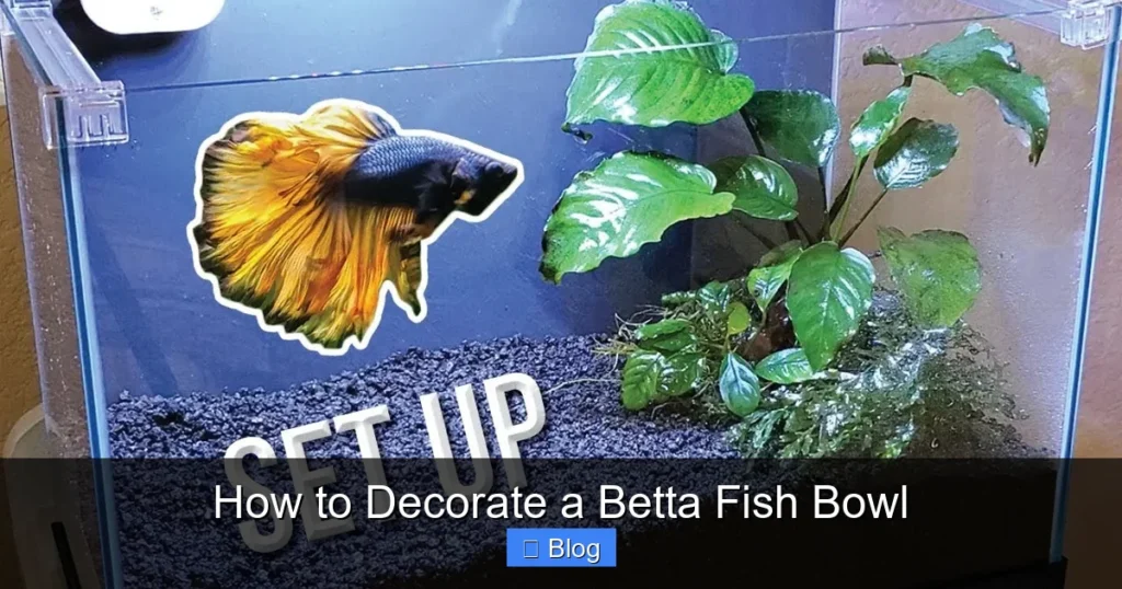 How to Decorate a Betta Fish Bowl
