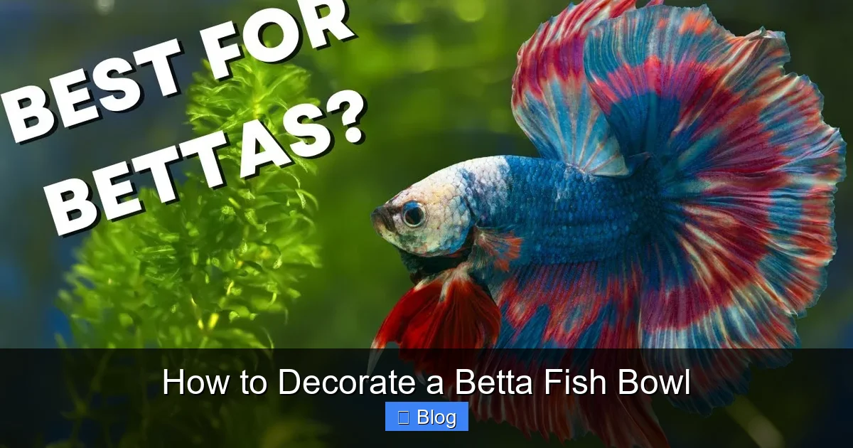 How to Decorate a Betta Fish Bowl