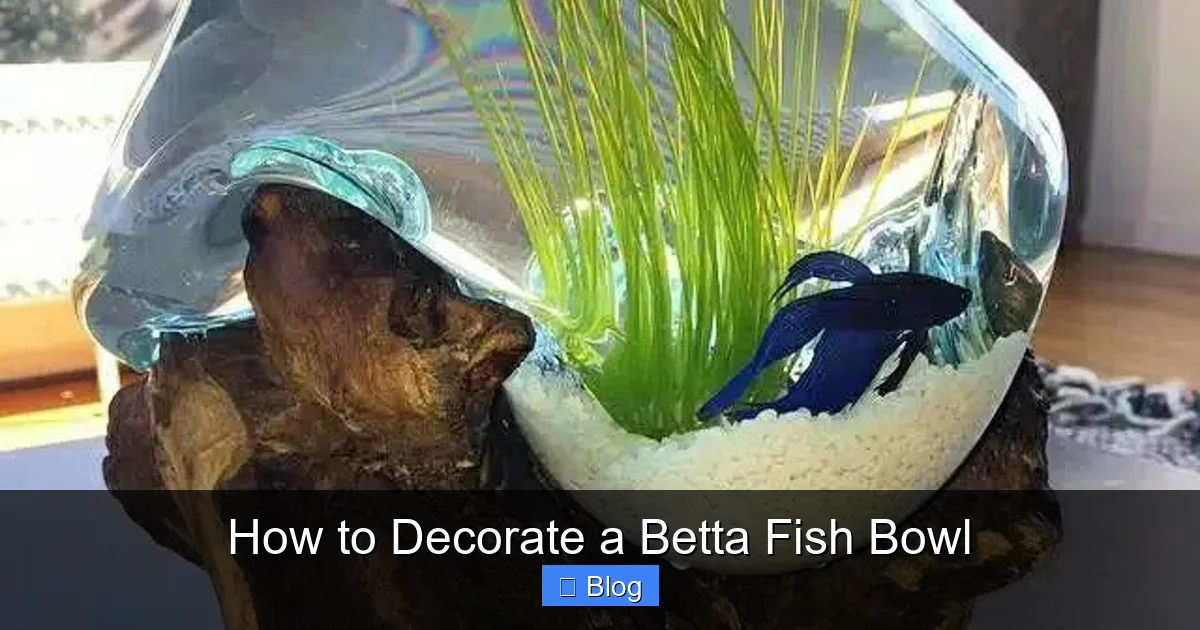 How to Decorate a Betta Fish Bowl