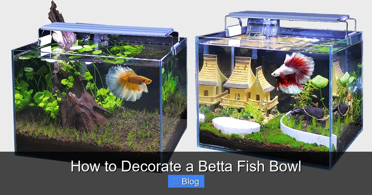 How to Decorate a Betta Fish Bowl