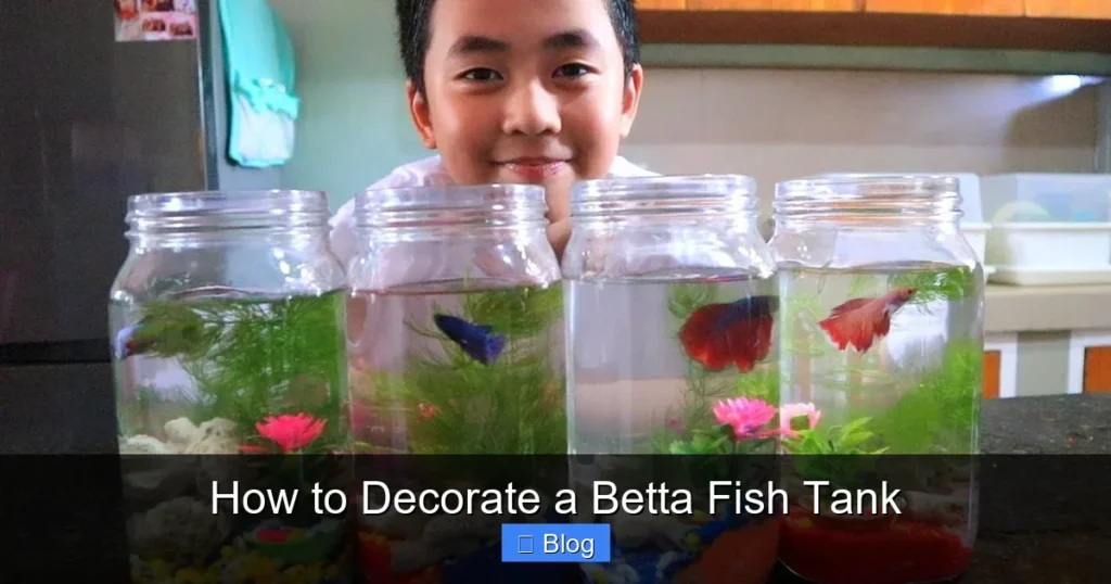 How to Decorate a Betta Fish Tank