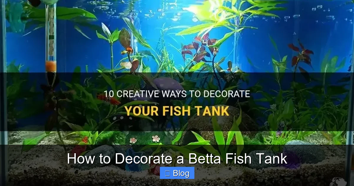 How to Decorate a Betta Fish Tank