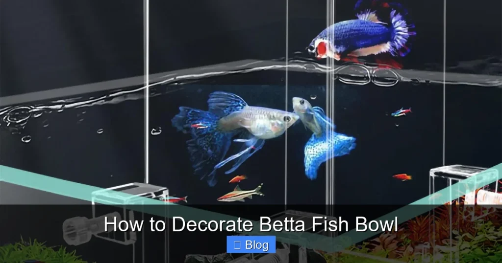 How to Decorate Betta Fish Bowl