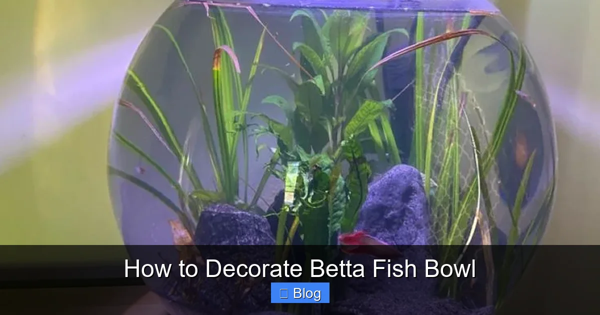 How to Decorate Betta Fish Bowl