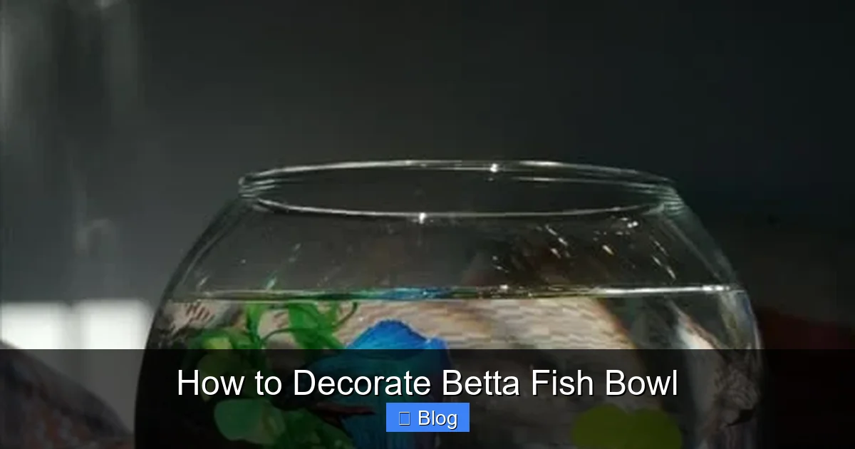How to Decorate Betta Fish Bowl