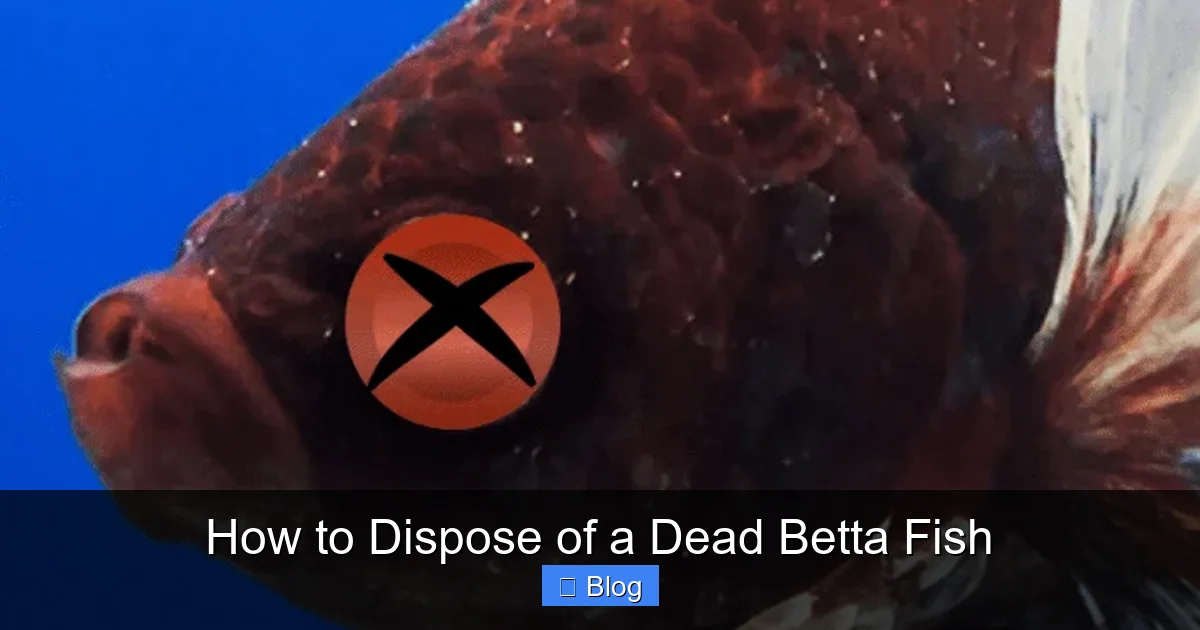 How to Dispose of a Dead Betta Fish