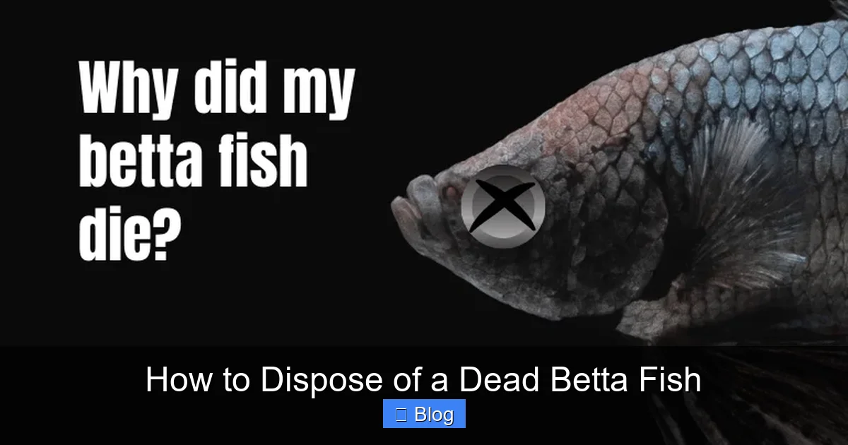 How to Dispose of a Dead Betta Fish