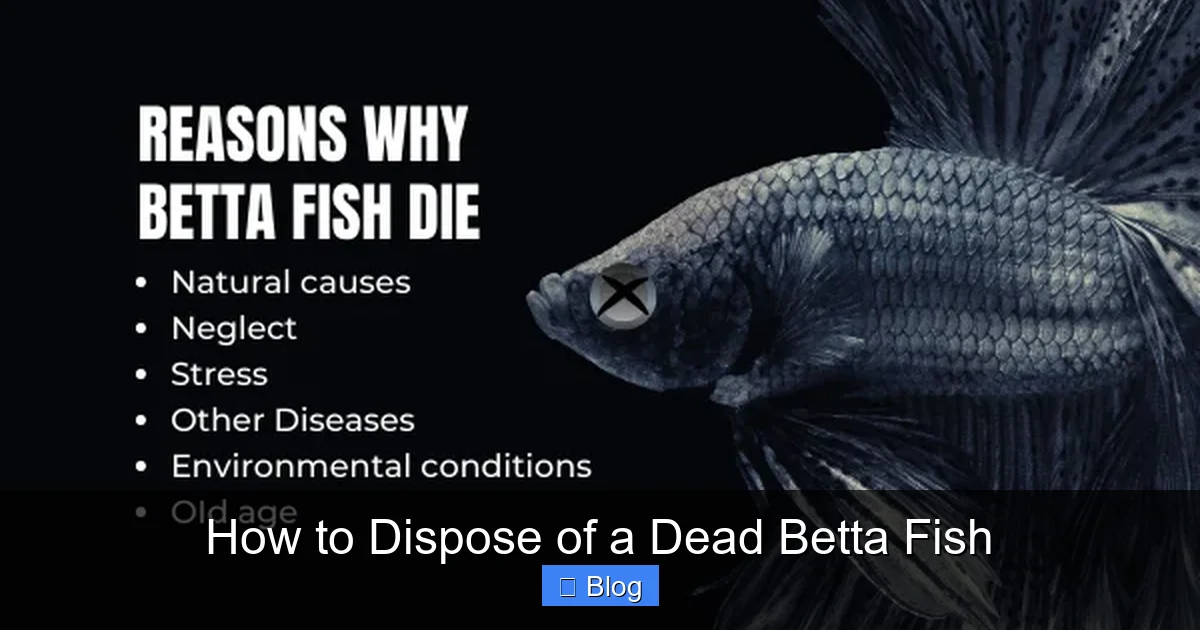 How to Dispose of a Dead Betta Fish