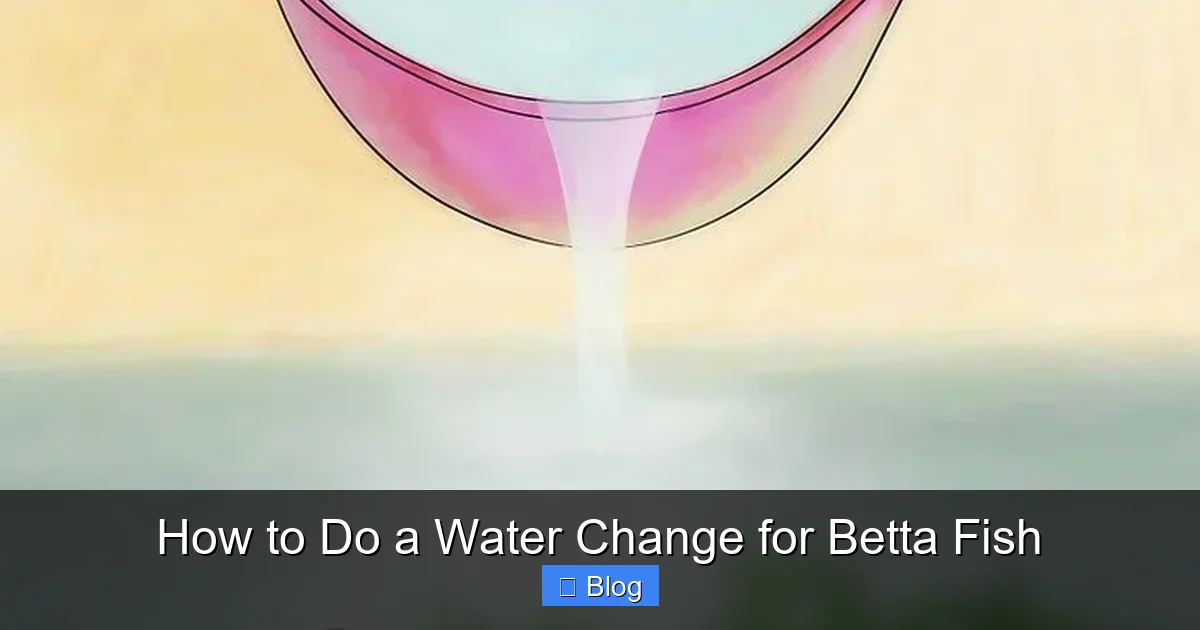 How to Do a Water Change for Betta Fish