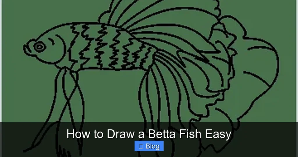 How to Draw a Betta Fish Easy