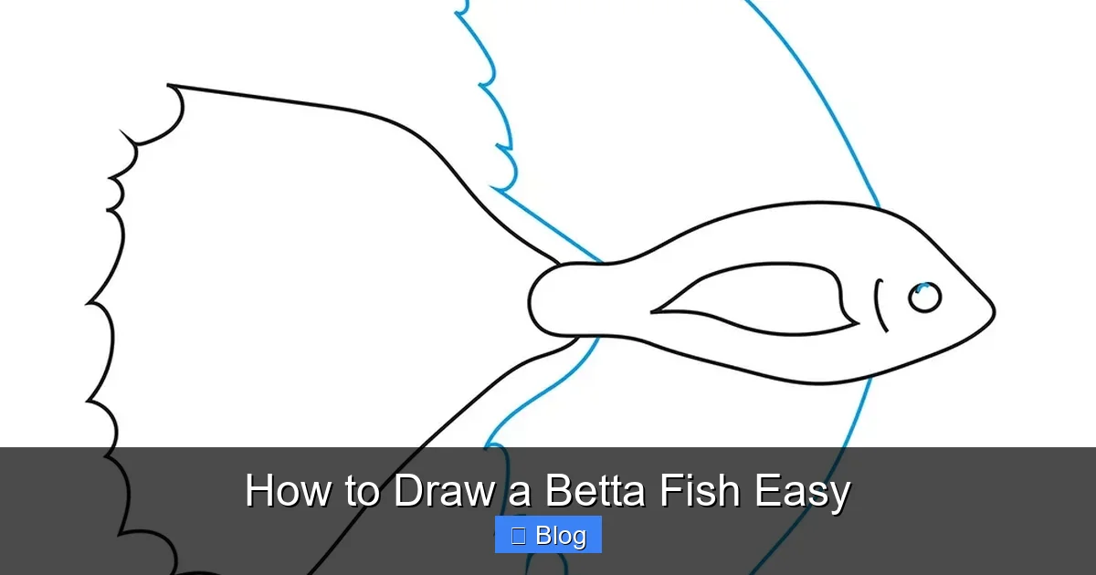How to Draw a Betta Fish Easy