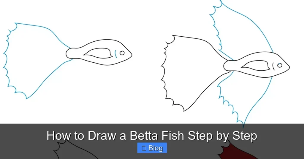 How to Draw a Betta Fish Step by Step