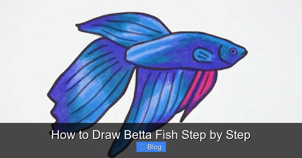How to Draw Betta Fish Step by Step