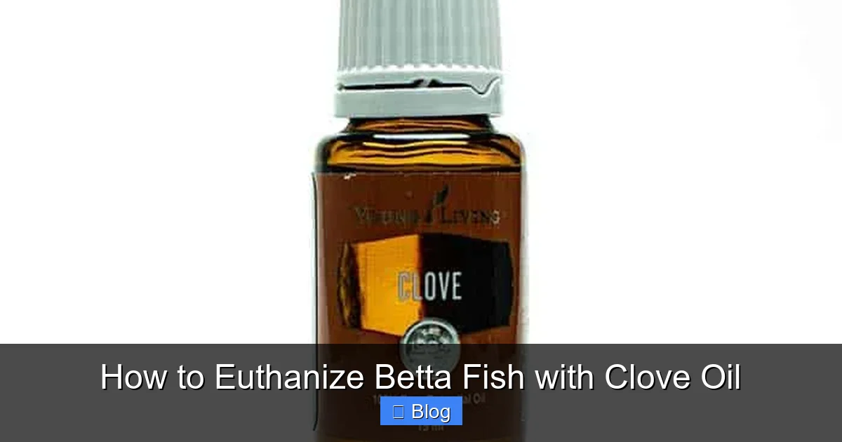 How to Euthanize Betta Fish with Clove Oil