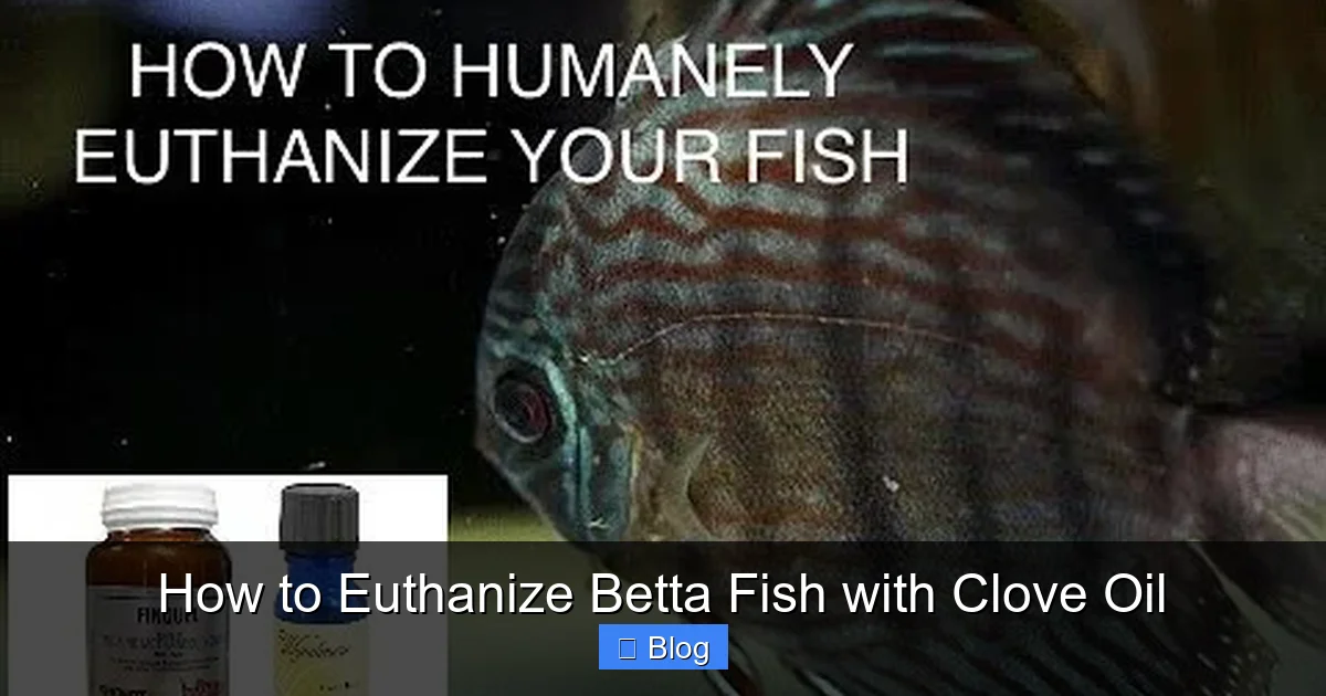 How to Euthanize Betta Fish with Clove Oil