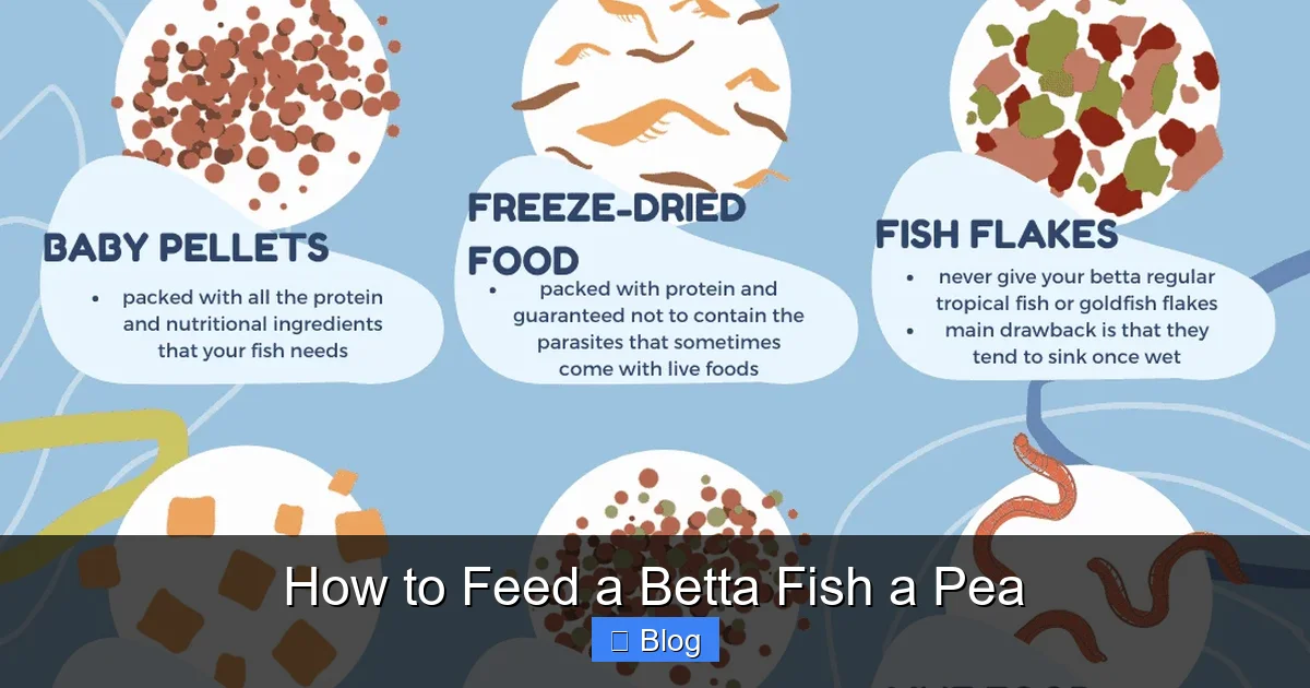 How to Feed a Betta Fish a Pea