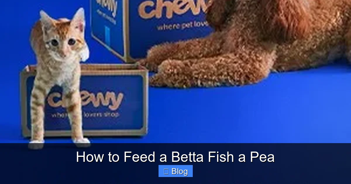 How to Feed a Betta Fish a Pea