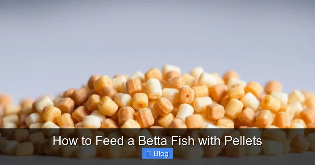 How to Feed a Betta Fish with Pellets