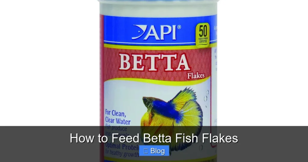 How to Feed Betta Fish Flakes