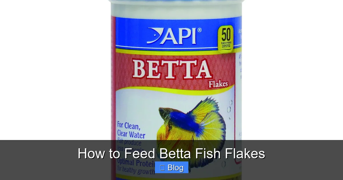 How to Feed Betta Fish Flakes