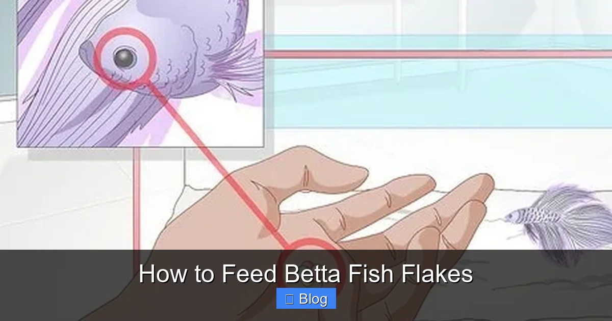 How to Feed Betta Fish Flakes