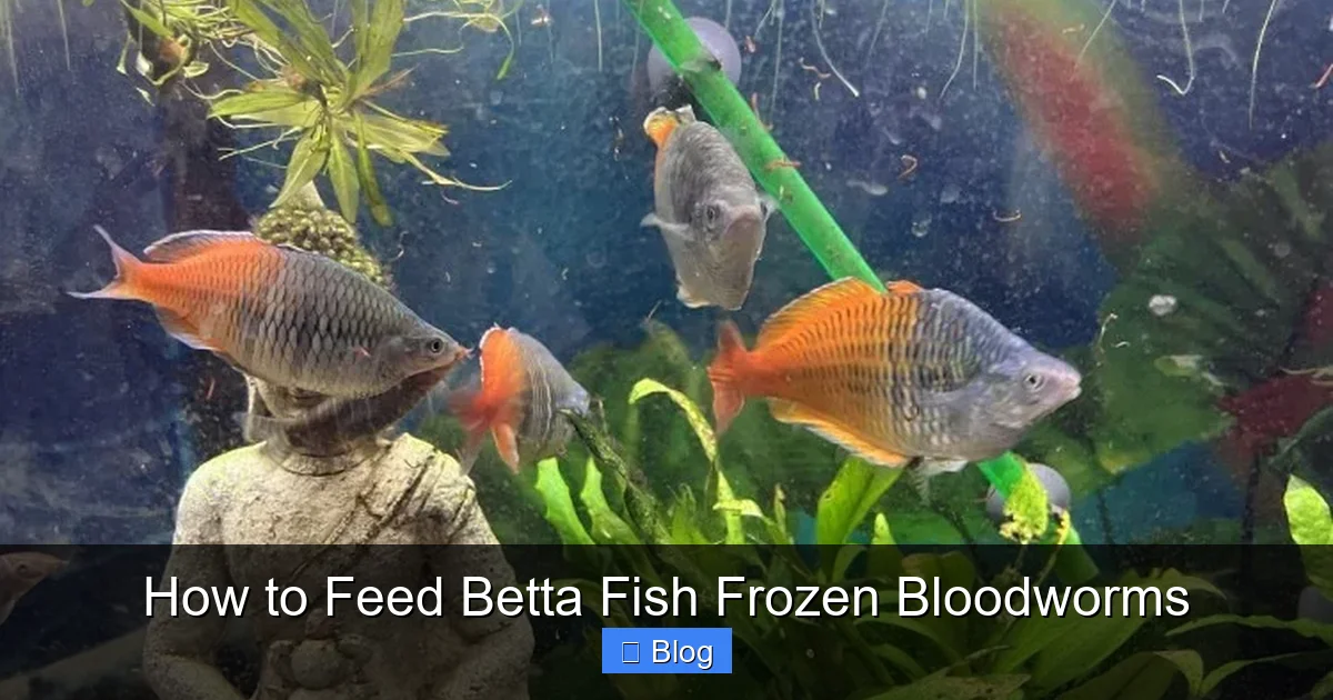 How to Feed Betta Fish Frozen Bloodworms