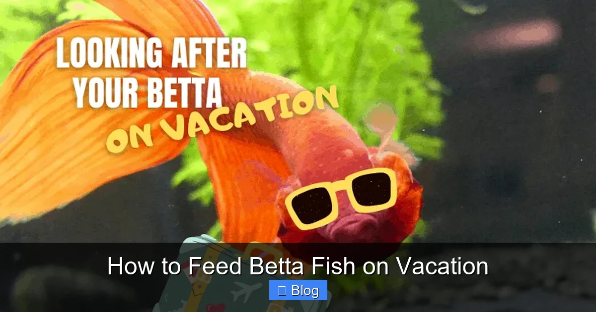 How to Feed Betta Fish on Vacation