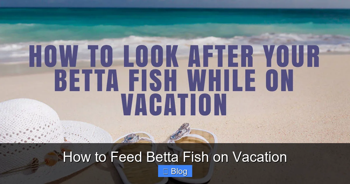 How to Feed Betta Fish on Vacation