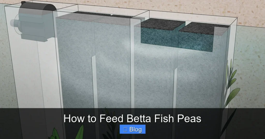 How to Feed Betta Fish Peas