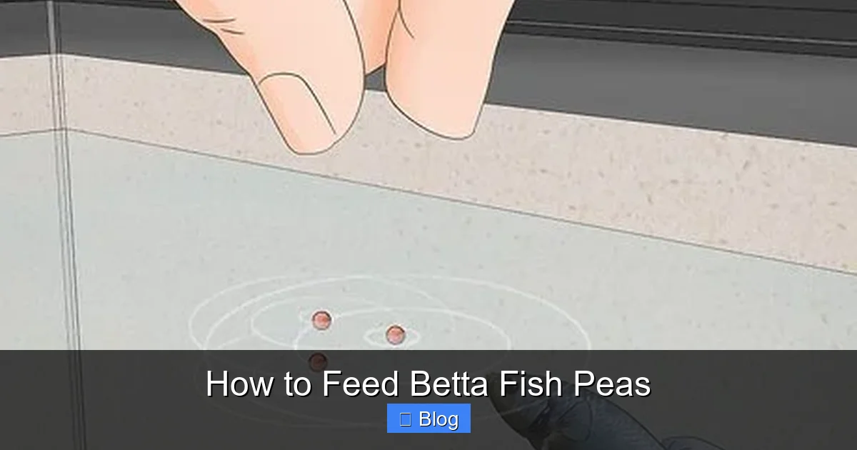 How to Feed Betta Fish Peas